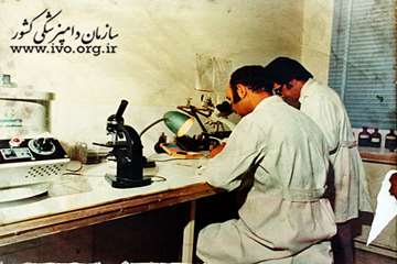 عکس های قدیمی دامپزشکی